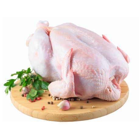 Know the Appearance of Fresh Chicken